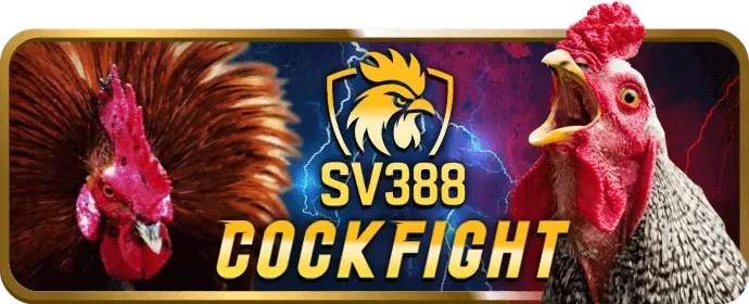 Tiền thưởng chào mừng tại gk88bet nhà cái